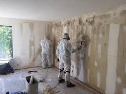 Best Black Mold Removal in Marionville, MO